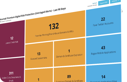 Digital Risk Protection