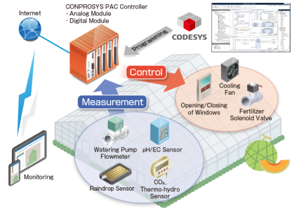 Automation of Melon Cultivation