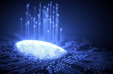 Identity Verification