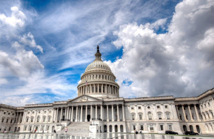 Public Sector and Government