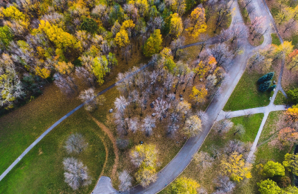 Cloud Managed Service Providers