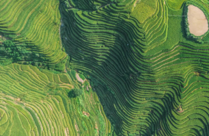 Cloud Cost Optimization