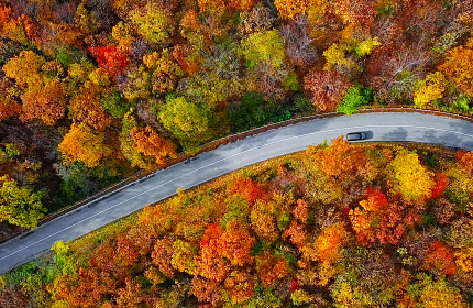 Snow Adoption Tracker