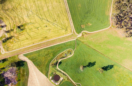 Cloud Cost Optimization