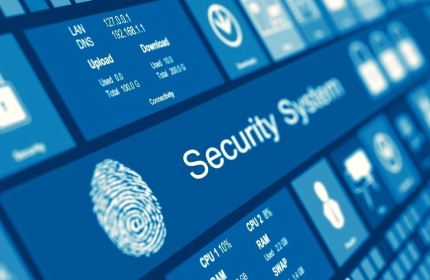 Security Profesionals